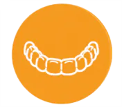 t4